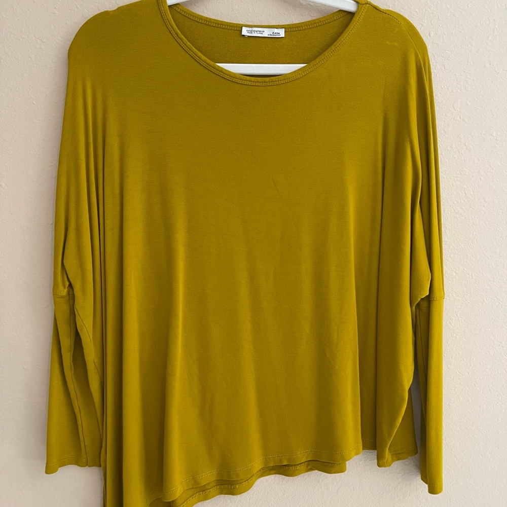 Zara Dolman Top